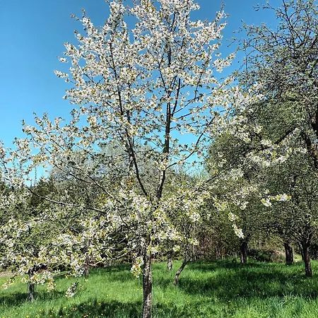 Haus Am Teich Mit Privater Sauna بيت للعطل *