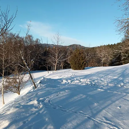 Haus Am Teich Mit Privater Sauna Sankt Leonhard bei Freistadt