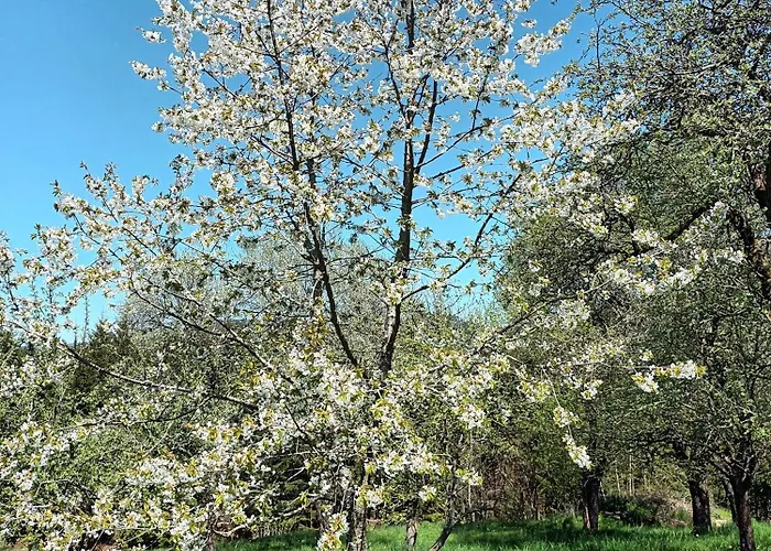 Haus Am Teich Mit Privater Sauna Tatil Evi *