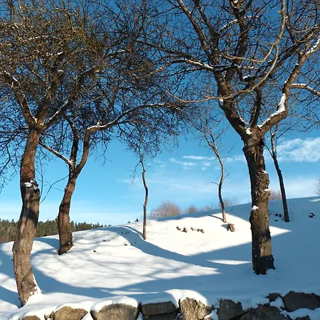 Haus Am Teich Mit Privater Sauna Casa de Férias